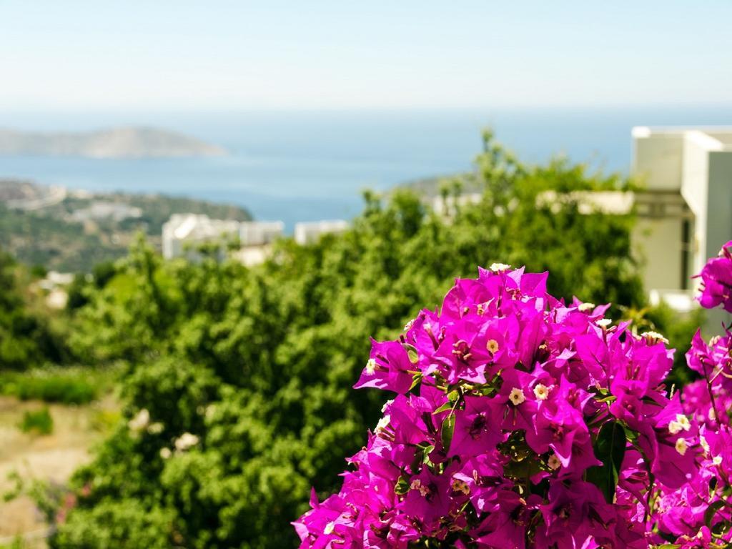 Aegean Hills Villa Gümüşlük Dış mekan fotoğraf
